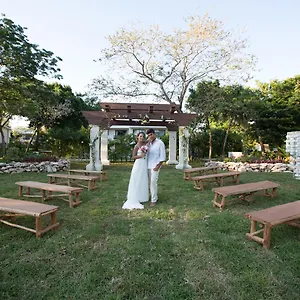 https://sandos-playacar-beach.quintano-roohotels.com