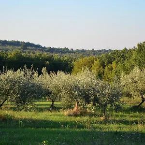 https://villa-olivetta-istrische-villa-mit-meerblick-nahe-porec.in-istria.net